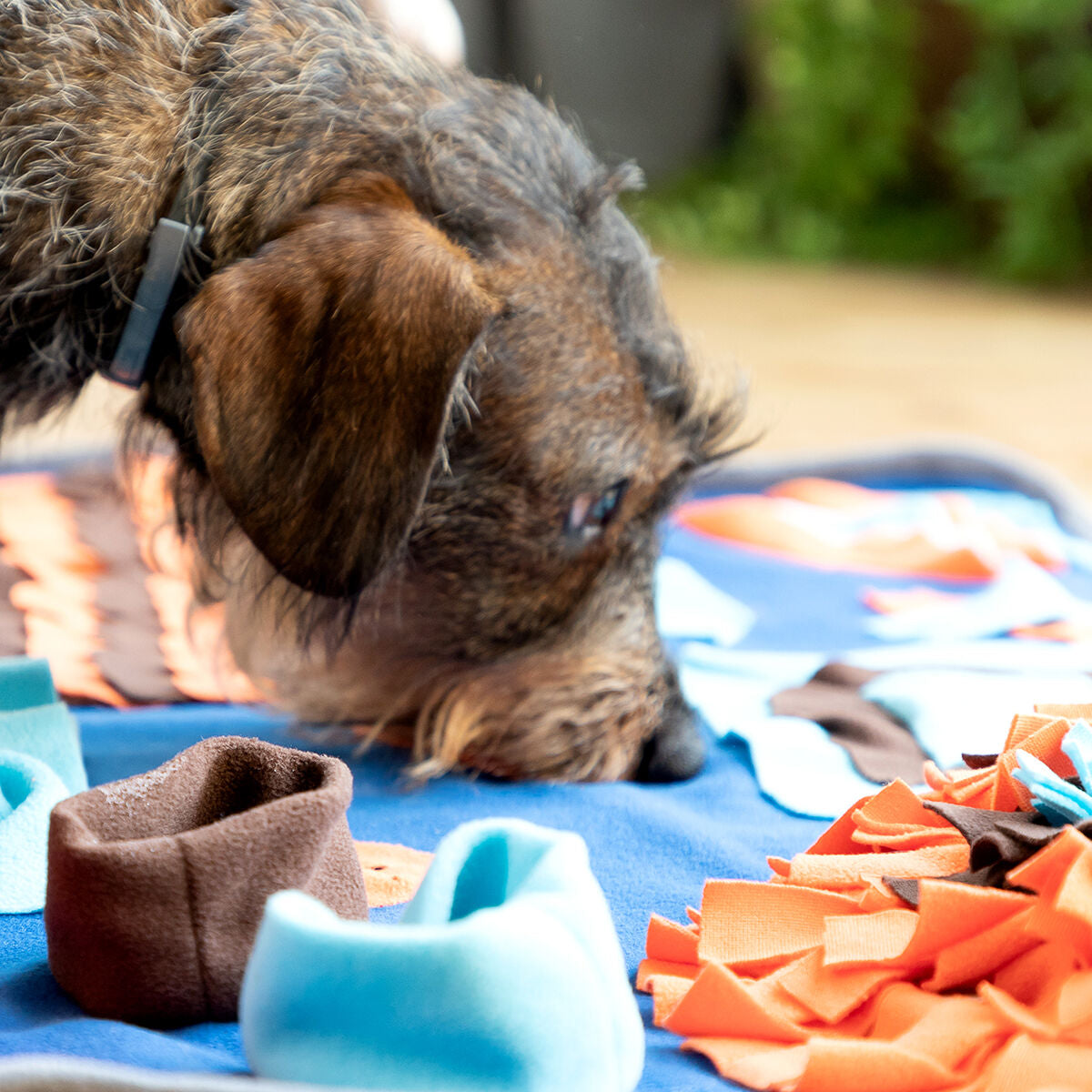 Tappeto Olfattivo per Animali Domestici Foopark InnovaGoods