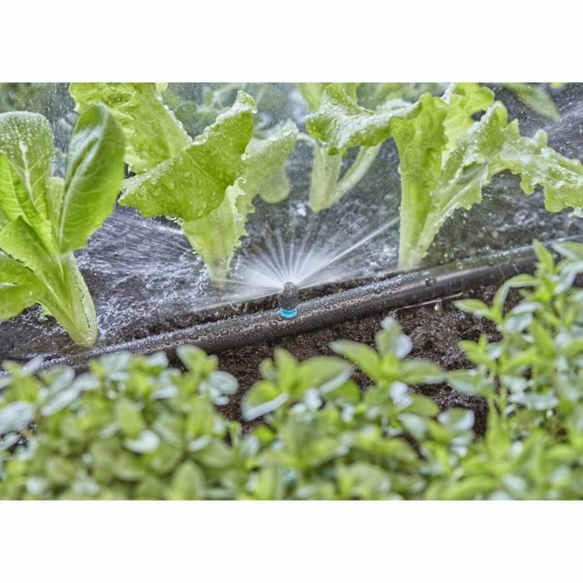 Microirrigatore Gardena Micro-Drip 13321-20